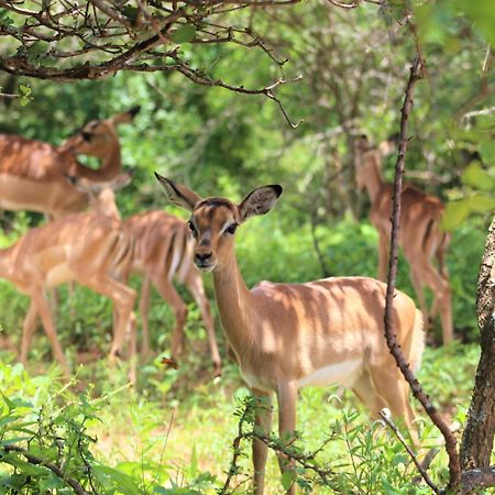 Apartament Kruger Kumba - Lahlekile Nathi Marloth Park Zewnętrze zdjęcie