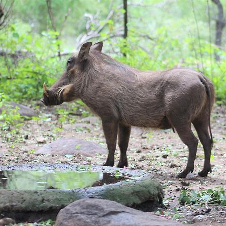 Apartament Kruger Kumba - Lahlekile Nathi Marloth Park Zewnętrze zdjęcie