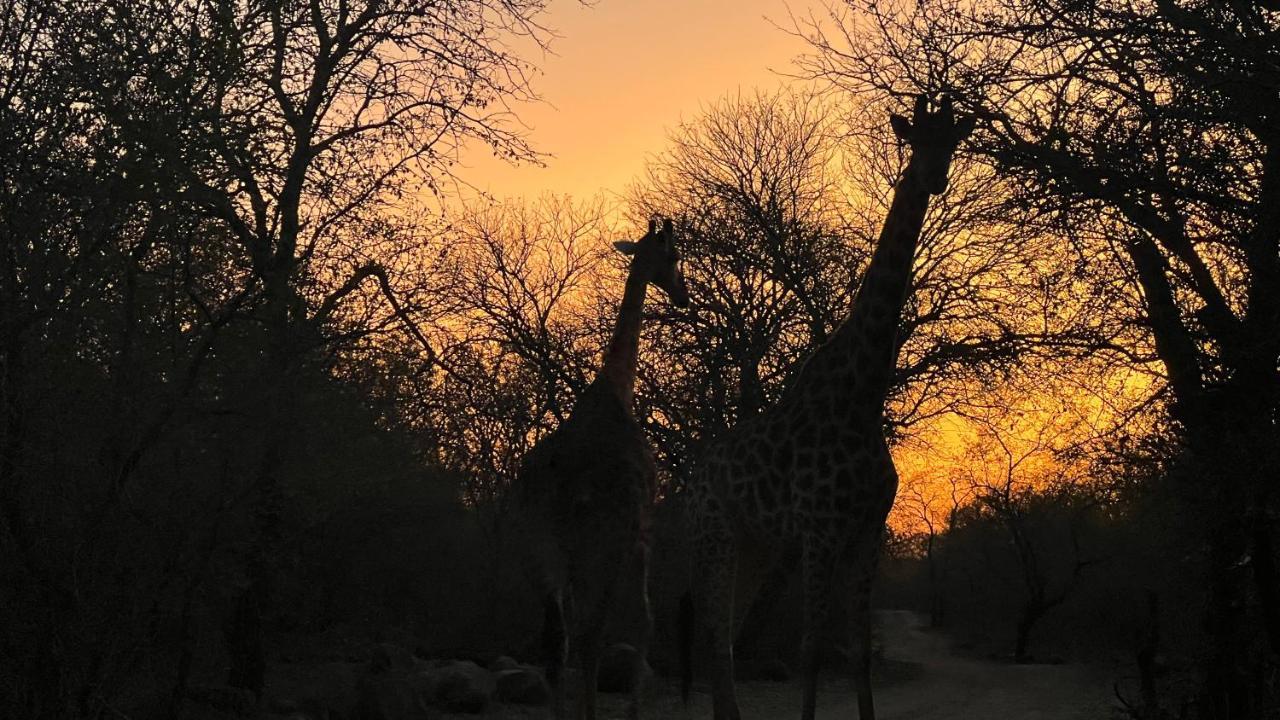 Apartament Kruger Kumba - Lahlekile Nathi Marloth Park Zewnętrze zdjęcie