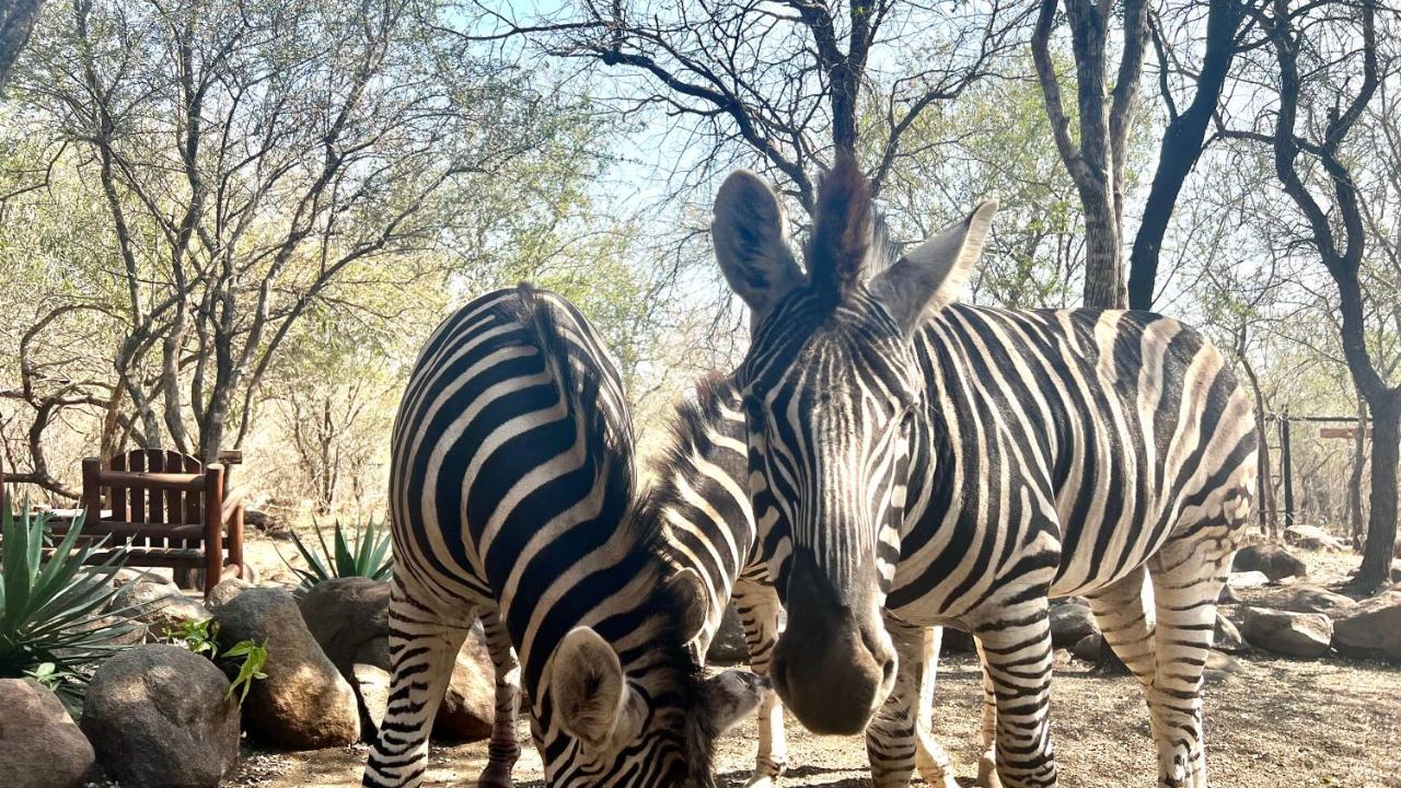 Apartament Kruger Kumba - Lahlekile Nathi Marloth Park Zewnętrze zdjęcie