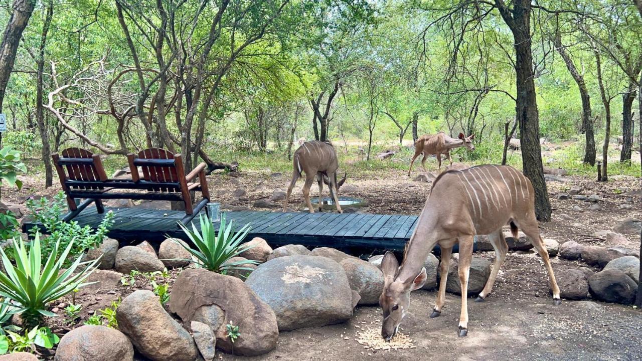 Apartament Kruger Kumba - Lahlekile Nathi Marloth Park Zewnętrze zdjęcie