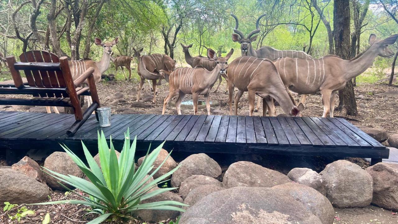 Apartament Kruger Kumba - Lahlekile Nathi Marloth Park Zewnętrze zdjęcie