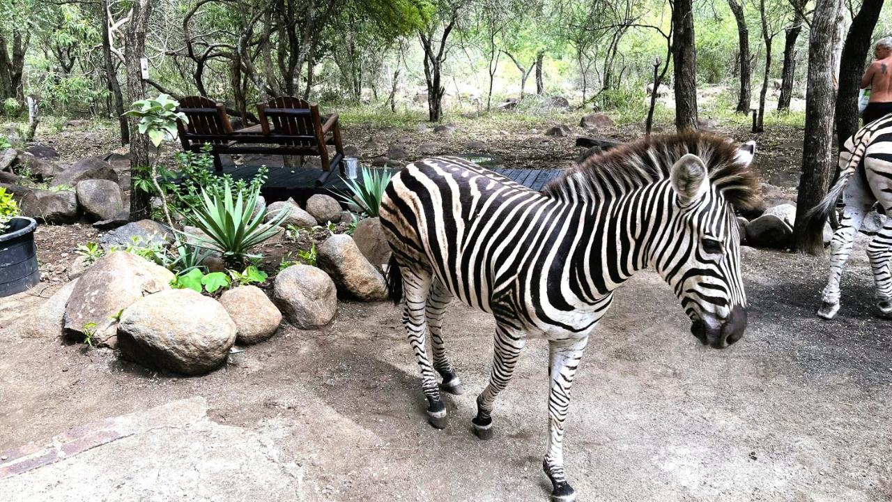 Apartament Kruger Kumba - Lahlekile Nathi Marloth Park Zewnętrze zdjęcie