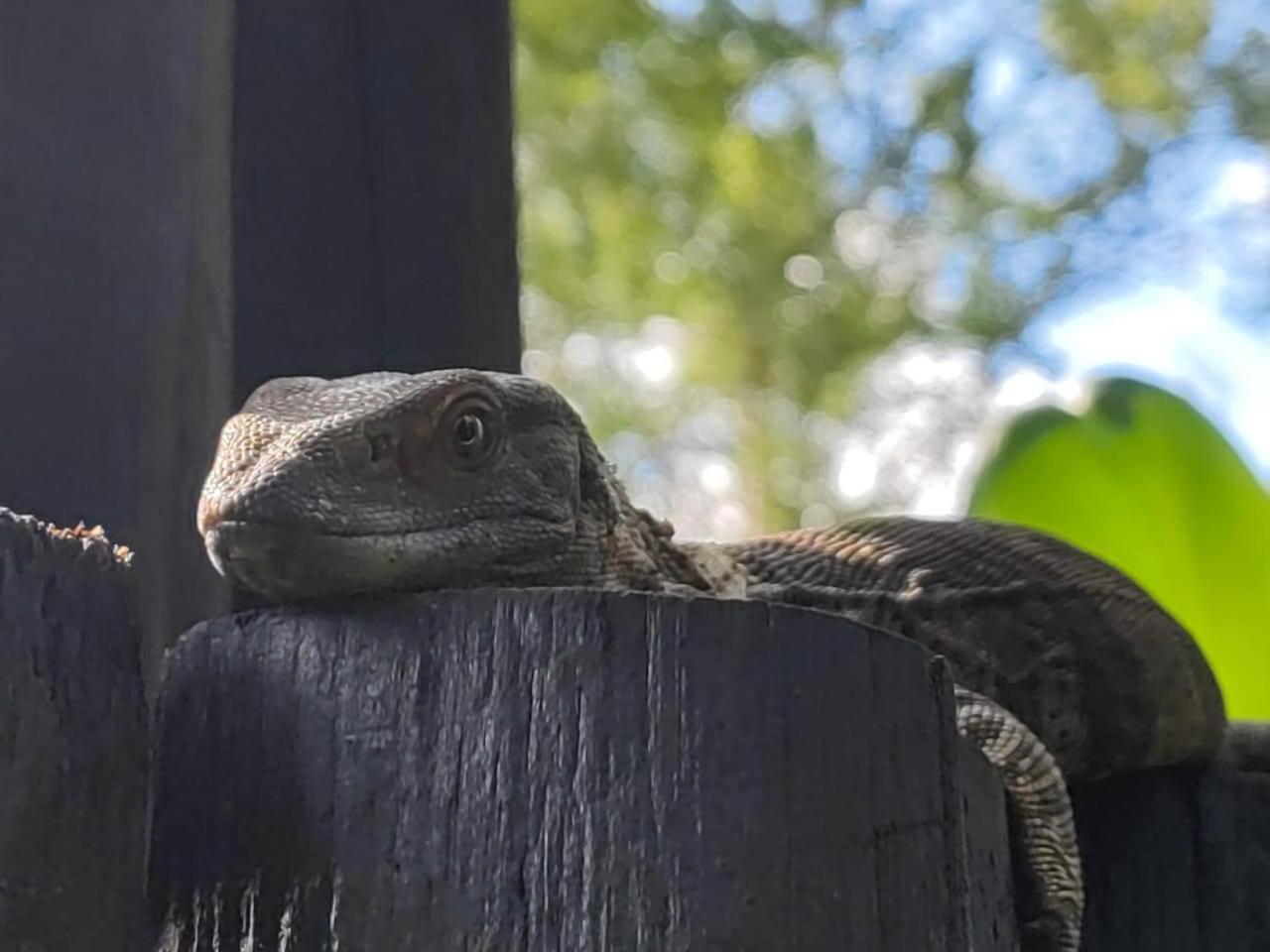 Apartament Kruger Kumba - Lahlekile Nathi Marloth Park Zewnętrze zdjęcie