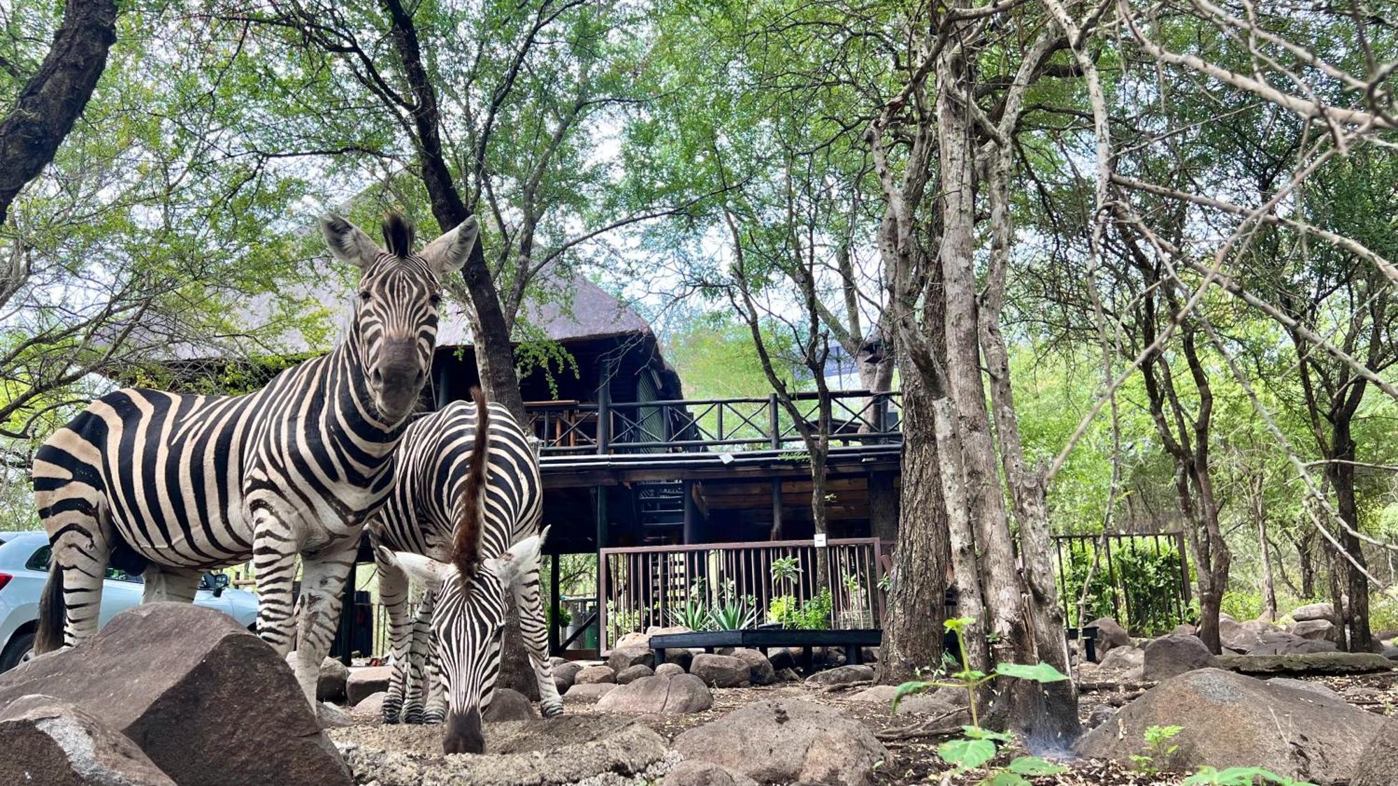 Apartament Kruger Kumba - Lahlekile Nathi Marloth Park Zewnętrze zdjęcie